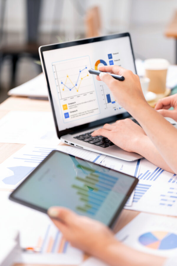 Obrazek produktu Audyt SEO Standard